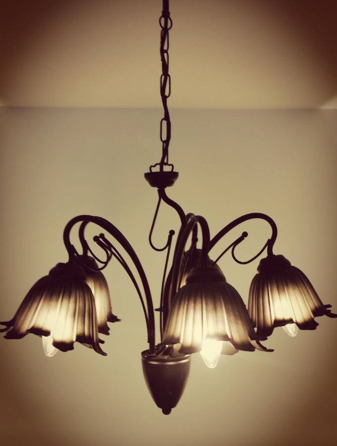 זאדאר Luxury Residence Zola מראה חיצוני תמונה